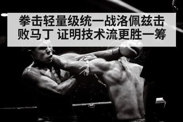 拳击轻量级统一战洛佩兹击败马丁 证明技术流更胜一筹